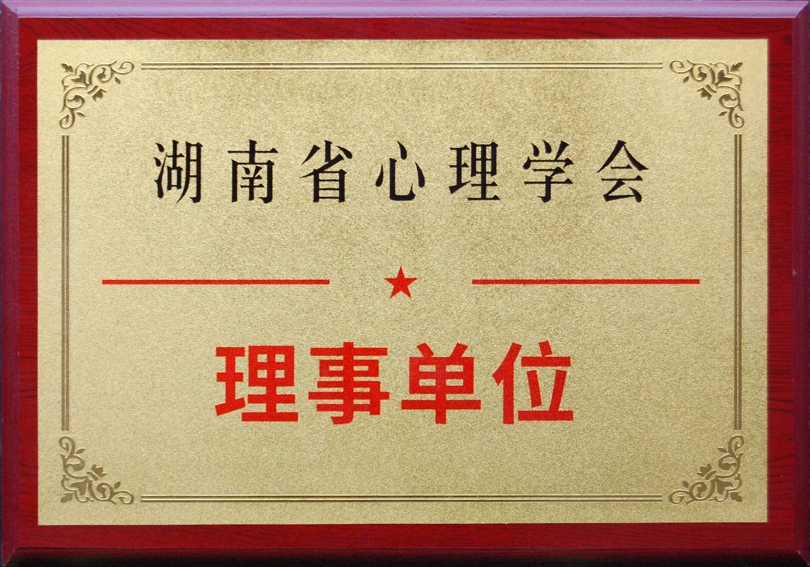 湖南省心理学会 · 理事单位（湖南省心理学会 2019）