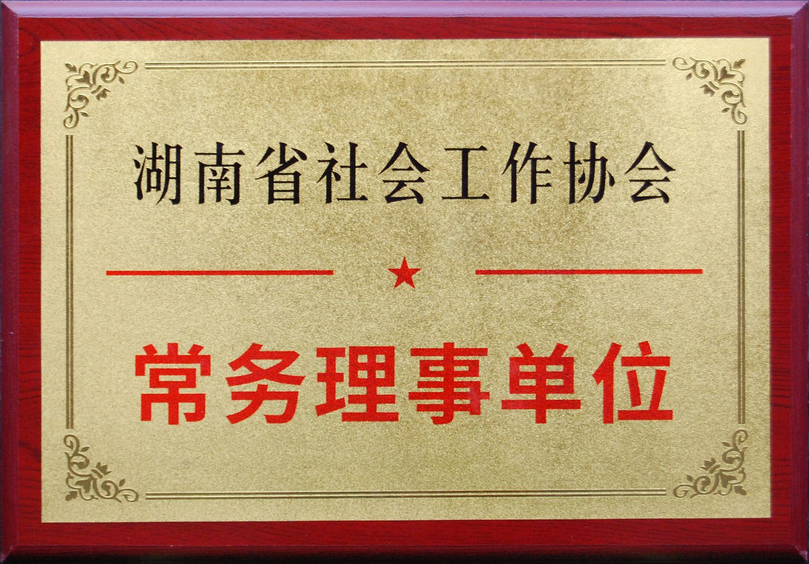 湖南省社会工作协会 · 常务理事单位（第一届）（湖南省心理学会 2021）